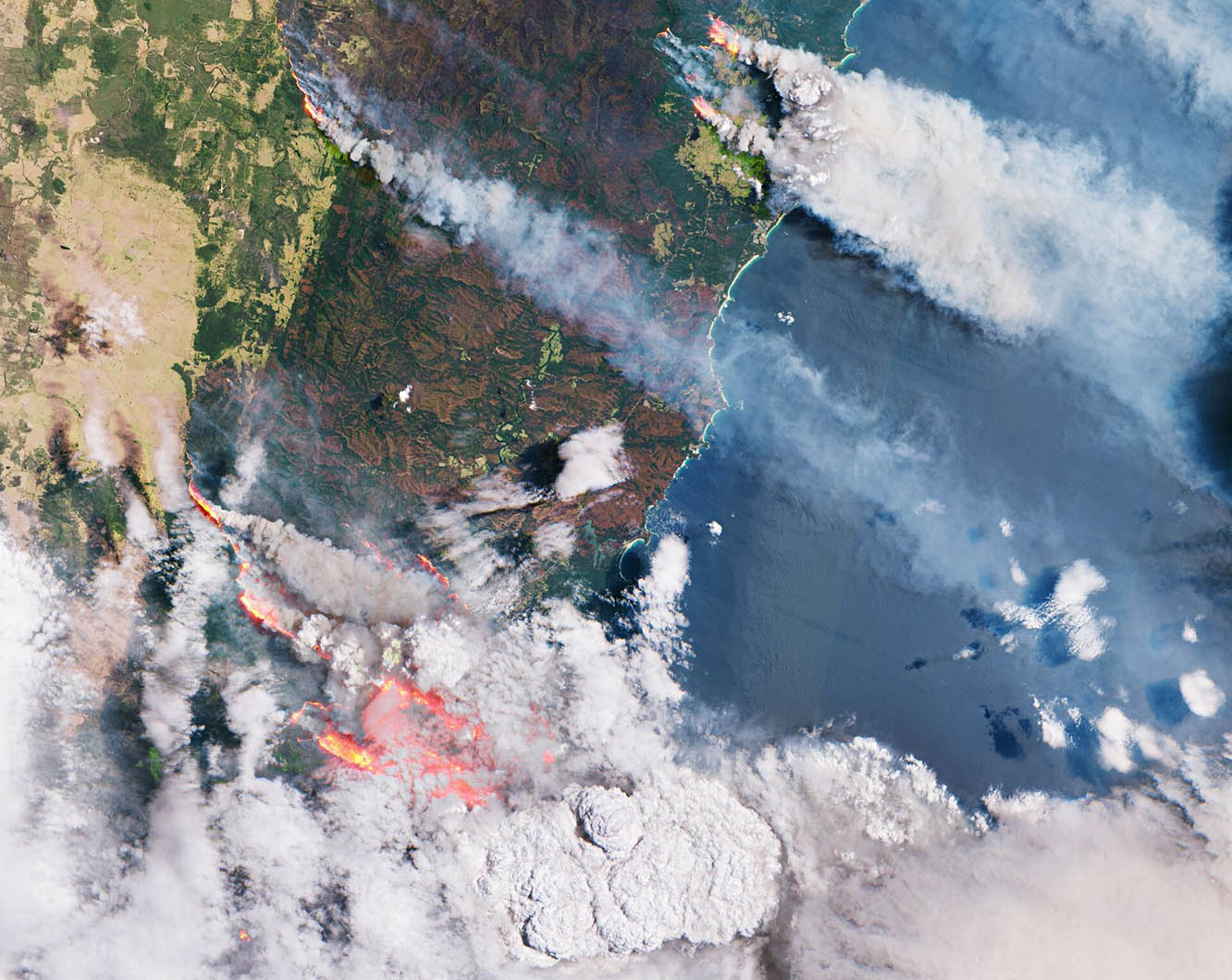 Neutralising wildfires carbon emissions